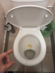 JPG Image, 320KB, 1500px × 2000px