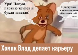 JPG Image, 143KB, 1200px × 854px