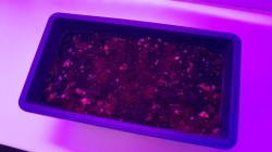 JPG Image, 91KB, 1280px × 720px