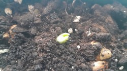 JPG Image, 239KB, 1280px × 720px