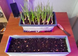 JPG Image, 520KB, 2000px × 1444px