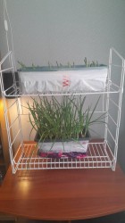 JPG Image, 302KB, 1125px × 2000px