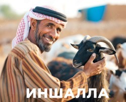 JPG Image, 19KB, 250px × 202px