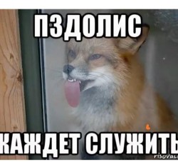 JPG Image, 77KB, 720px × 654px